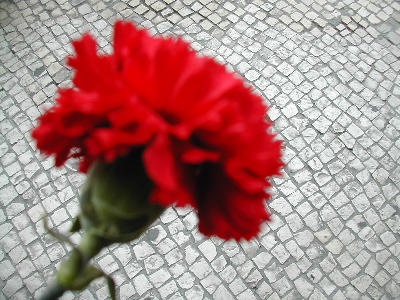OLHÃO SEMPRE! - RESTAURAR A CONFIANÇA